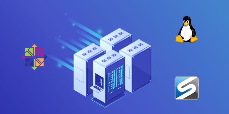 How To Add SPF Records For All Accounts On Linux Centos CPanel/WHM Servers