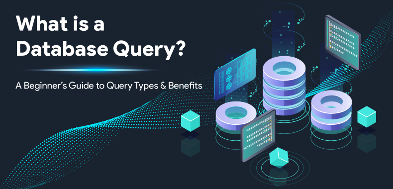 What is a Database Query?