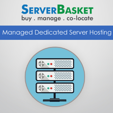 Managed Dedicated Server Hosting India