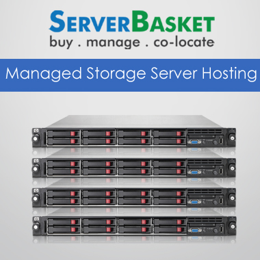 Managed-Storage-Server-Hosting