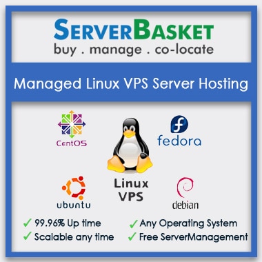 managed linux vps server hosting