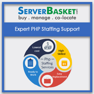 Buy Expert PHP Staffing Support In India