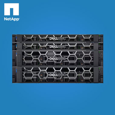 EMC, Dell And NetApp Storage Rental