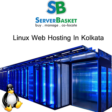 Linux Web Hosting service In Kolkata