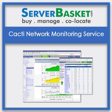 Buy Cacti Network Monitoring Service In India