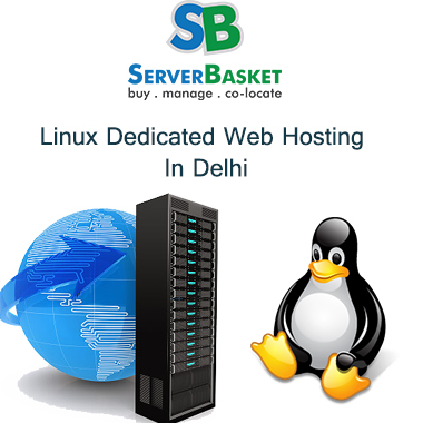 Linux Dedicated Web Hosting In Delhi