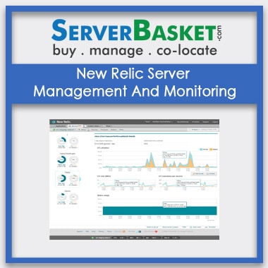 Buy New Relic Server Management And Monitoring In India