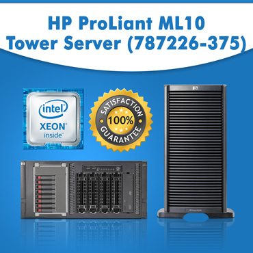 HP Proliant ML110 G6 Server