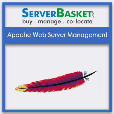 Buy Apache Web Server Management In India