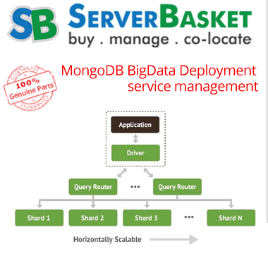 MongoDB BigData Deployment Service Management