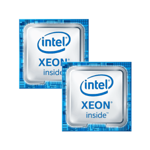 Dual Intel Processors