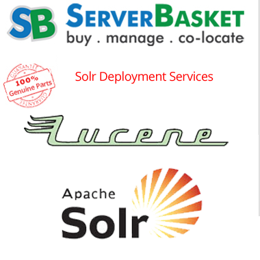 solr deployment services