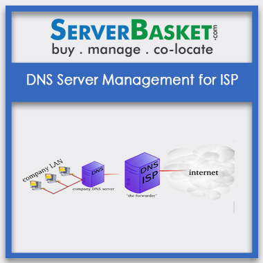 Buy DNS Server Management for ISP In India