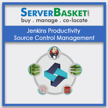 Buy Jenkins Productivity Source Control Management In India