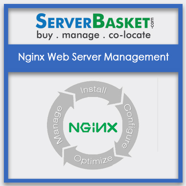 Buy Nginx Web Server Management In India