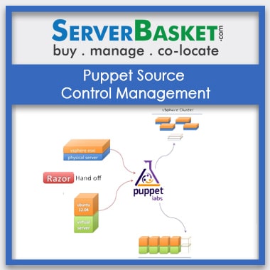 Buy Puppet Source Control Management In India