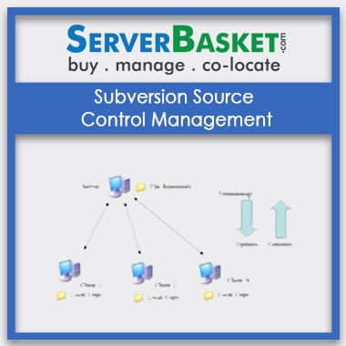 Buy Subversion Source Control Management In India