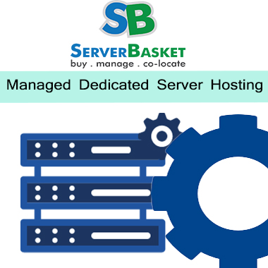 Fully Managed Dedicated Server Hosting