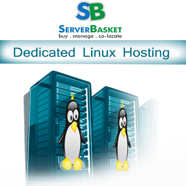 Linux Hosting Dedicated server