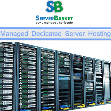 Managed Dedicated Server Hosting In India