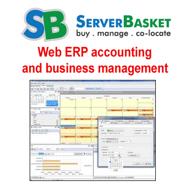 Web ERP Accounting