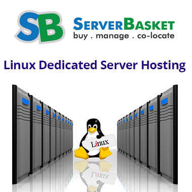 Managed Linux Dedicated Server Hosting