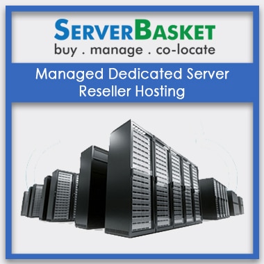 Buy Managed Dedicated Reseller Hosting from Server Basket in India for Cheap Price Online