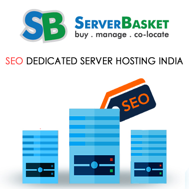 seo dedicated server hosting india