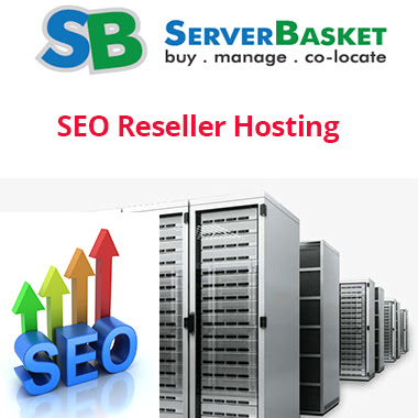 Seo Reseller Hosting In India