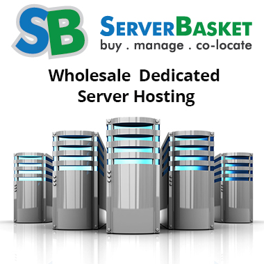 Wholesale dedicated server hosting