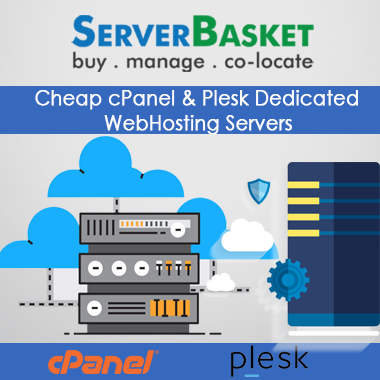 cheap cpanel plesk dedicated webhosting servers india
