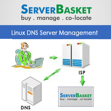 DNS Server Management, DNS Server Services, DNS Server Support, DNS Server for ISP Support