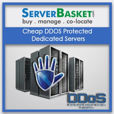 cheap ddos protected dedicated servers hosting