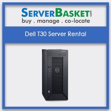 Dell T30 Server Rental In India