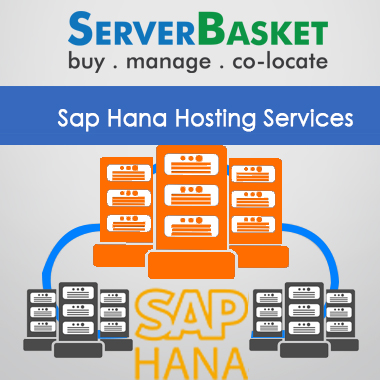 Sap Hana Hosting services,Sap Hana Hosting india, Sap Hana Hosting providers