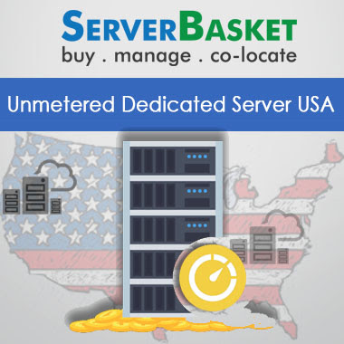 Dedicated Server USA Unmetered