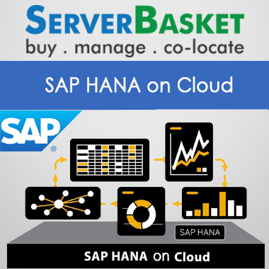 SAP Hana on Cloud, SAP hana Cloud Platform, SAP hana Cloud Hosting, Managed SAP hana CLoud Services