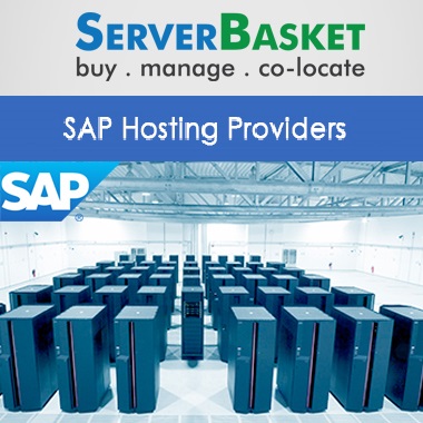 SAP Hosting Provider