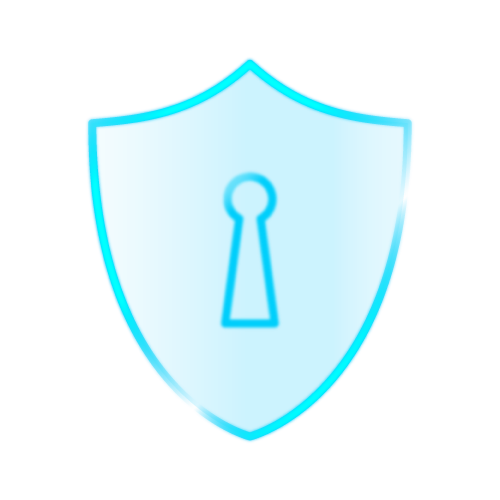 protection protection