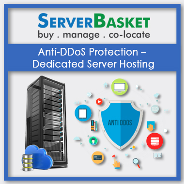 Anti DDoS Protection Dedicated Server Hosting