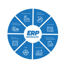 Ability to Host Any SAP Module: