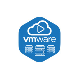 Start Vmware Hosting Service