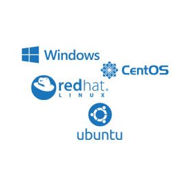 any os ready windows, linux for dedicated server