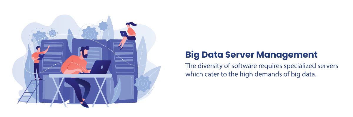 Big Data Server Management