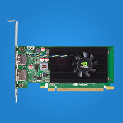 Buy NVIDIA NVS 310 1GB Graphics Card Online | Free Shipping