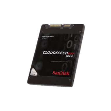 SanDisk 100GB SAS 6Gbps 2.5-inch SSD