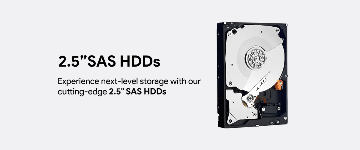 2,.5 SAS HDDs