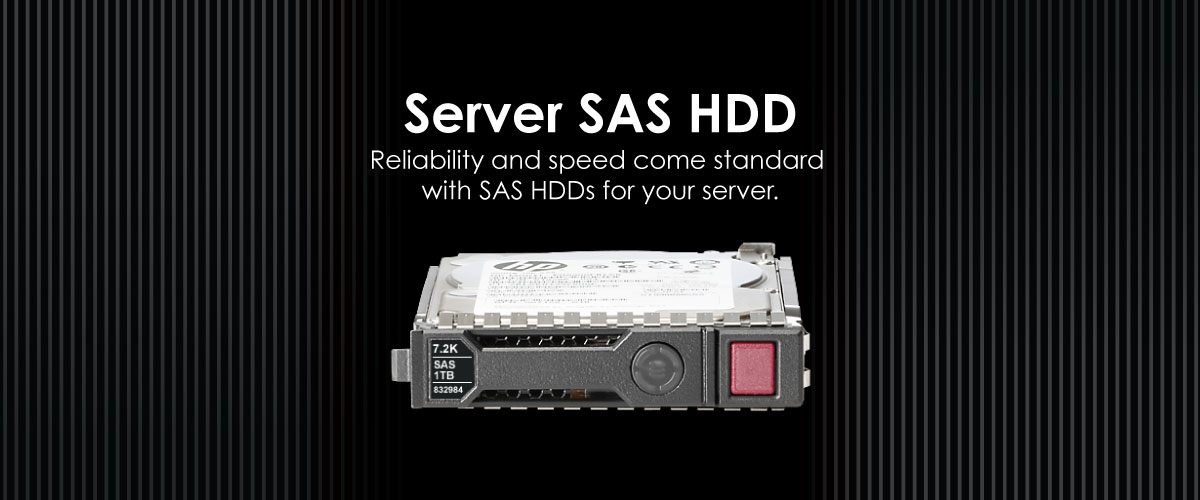 Server SAS HDD