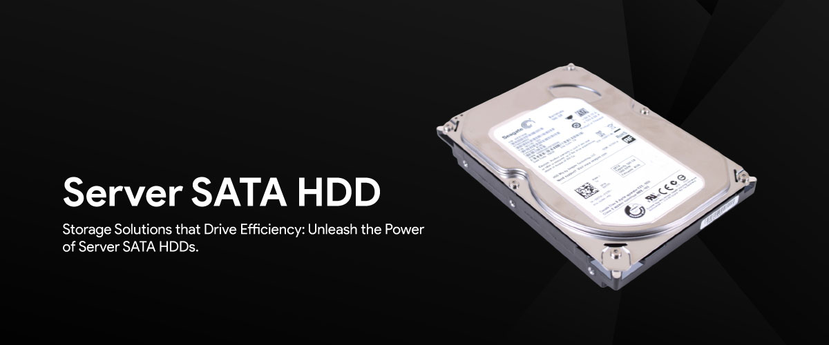 Server SATA HDD