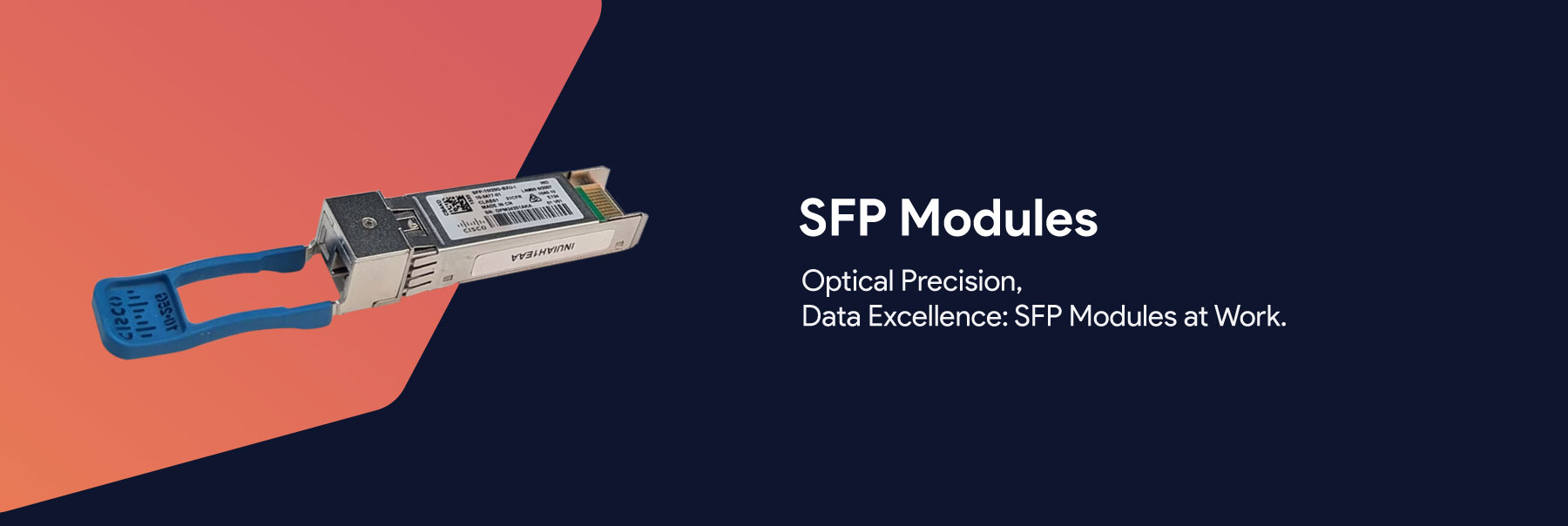 SFP-Modules
